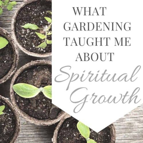 What Gardening Taught Me About Spiritual Growth