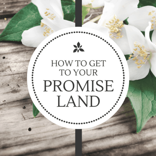 How to Get to Your Promise Land