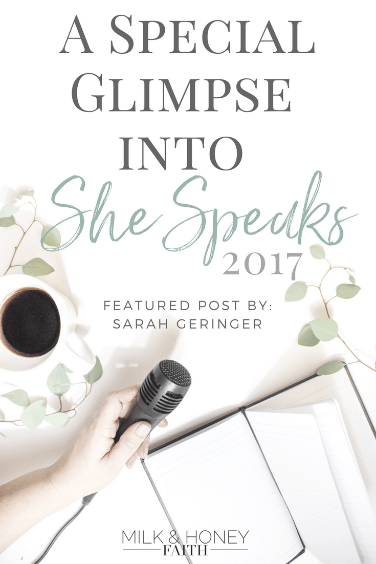 She Speaks Conference, Christian Bloggers, Salt and Light Linkup, Writers and publishers, Proverbs 31 Ministries, 2017