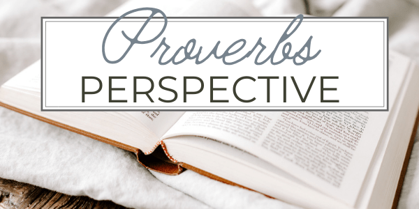 Proverbs Perspective Series - Bible opened on table